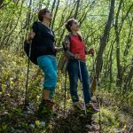 Kayland al Frasassi Climbing Festival